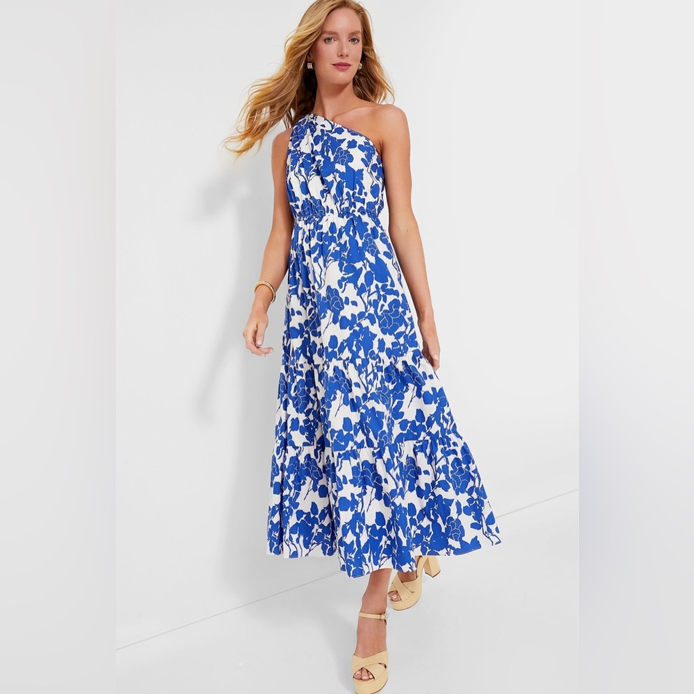 Tuckernuck Hyacinth House One Shoulder Blue Floral Maxi Size M